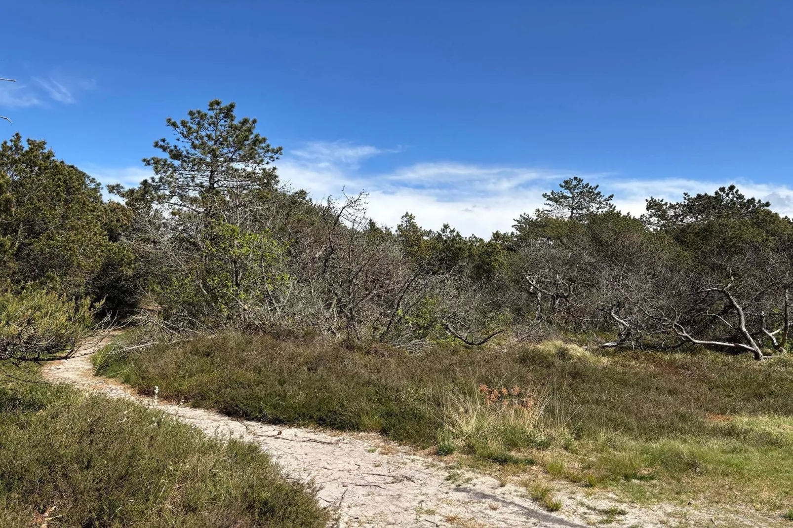 8 persoons vakantie huis in Rømø-By Traum