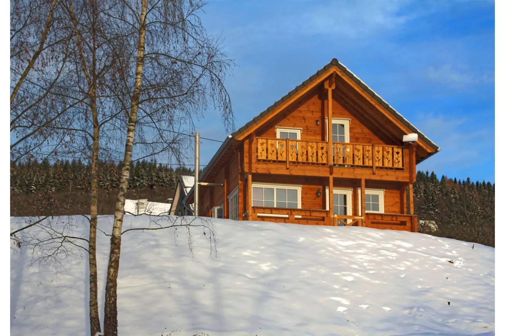 Blokhuis Winterberg Tulp-Exterieur winter