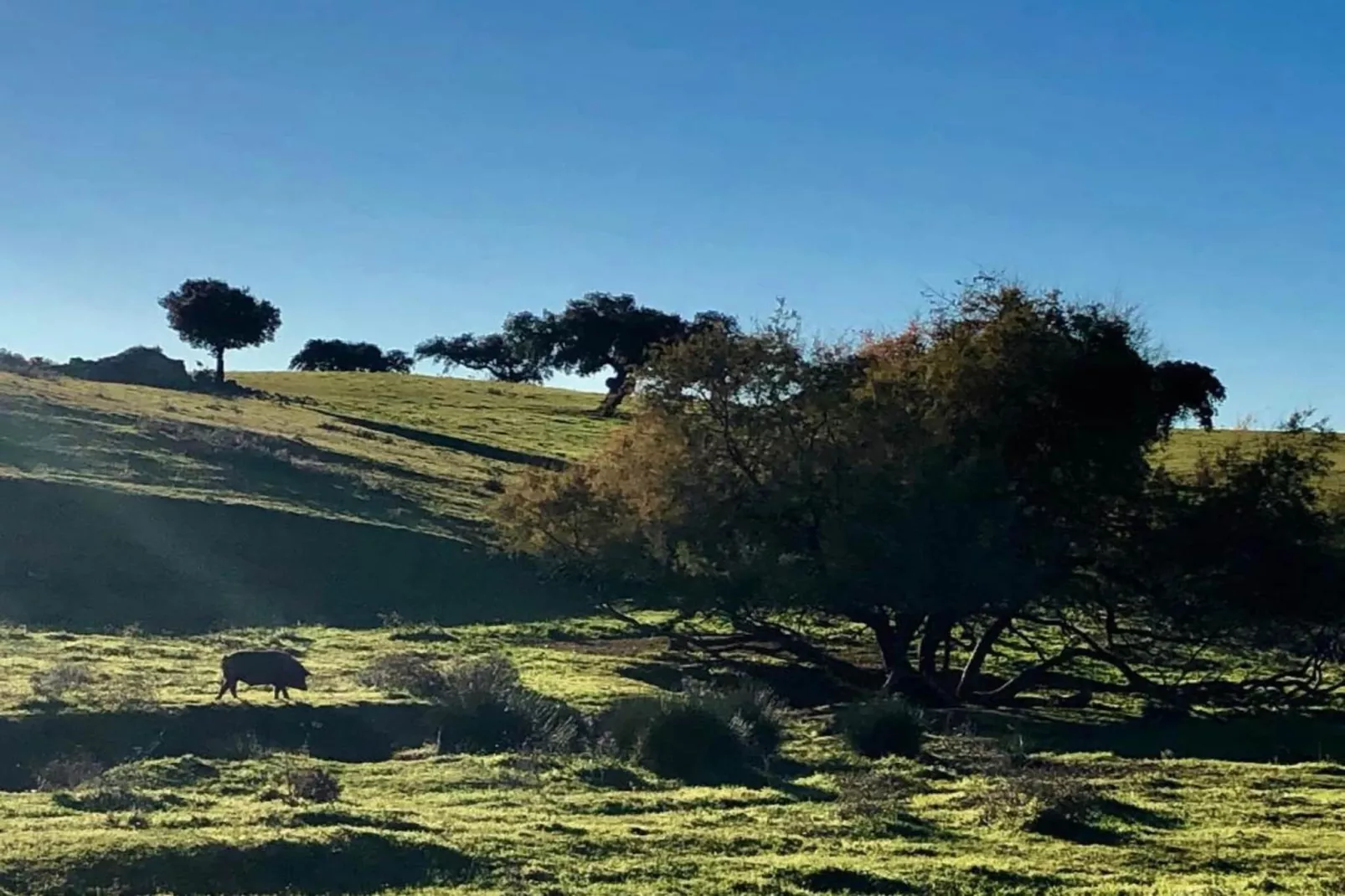 Villapark Ehzerburg 1-Gebieden zomer 20km