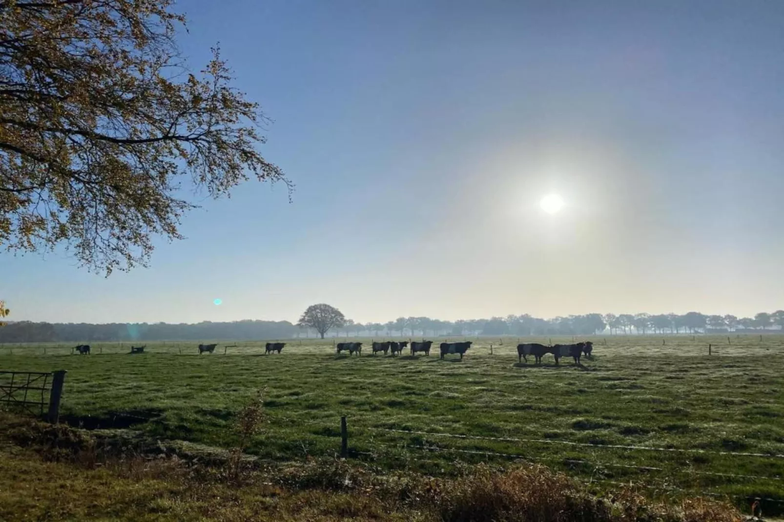 Vakantiepark De Lochemse Berg 2-Gebieden zomer 20km