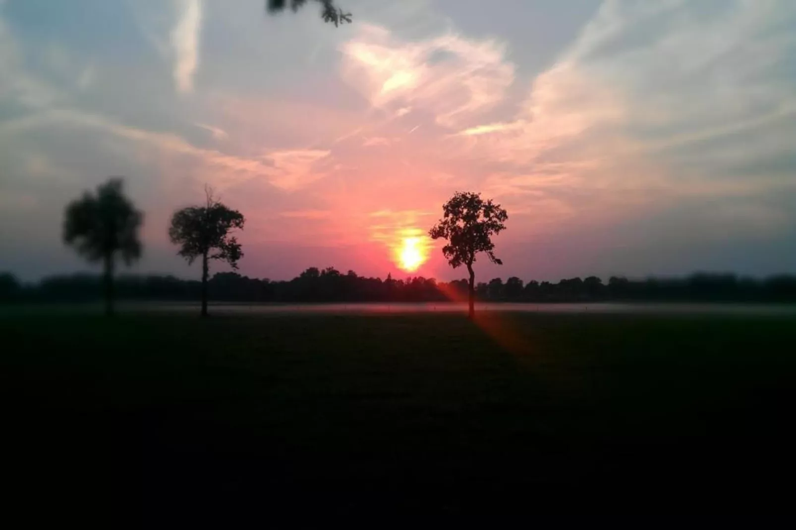 Bospark Markelo 4-Gebieden zomer 20km