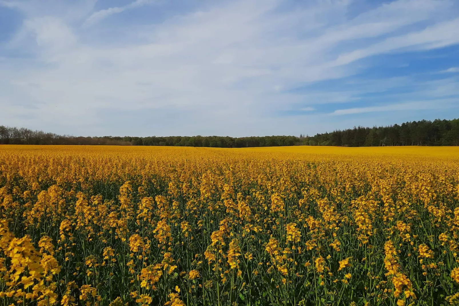 Zonnig toevluchtsoord in Bonnerup Haven-By Traum-Niet-getagd