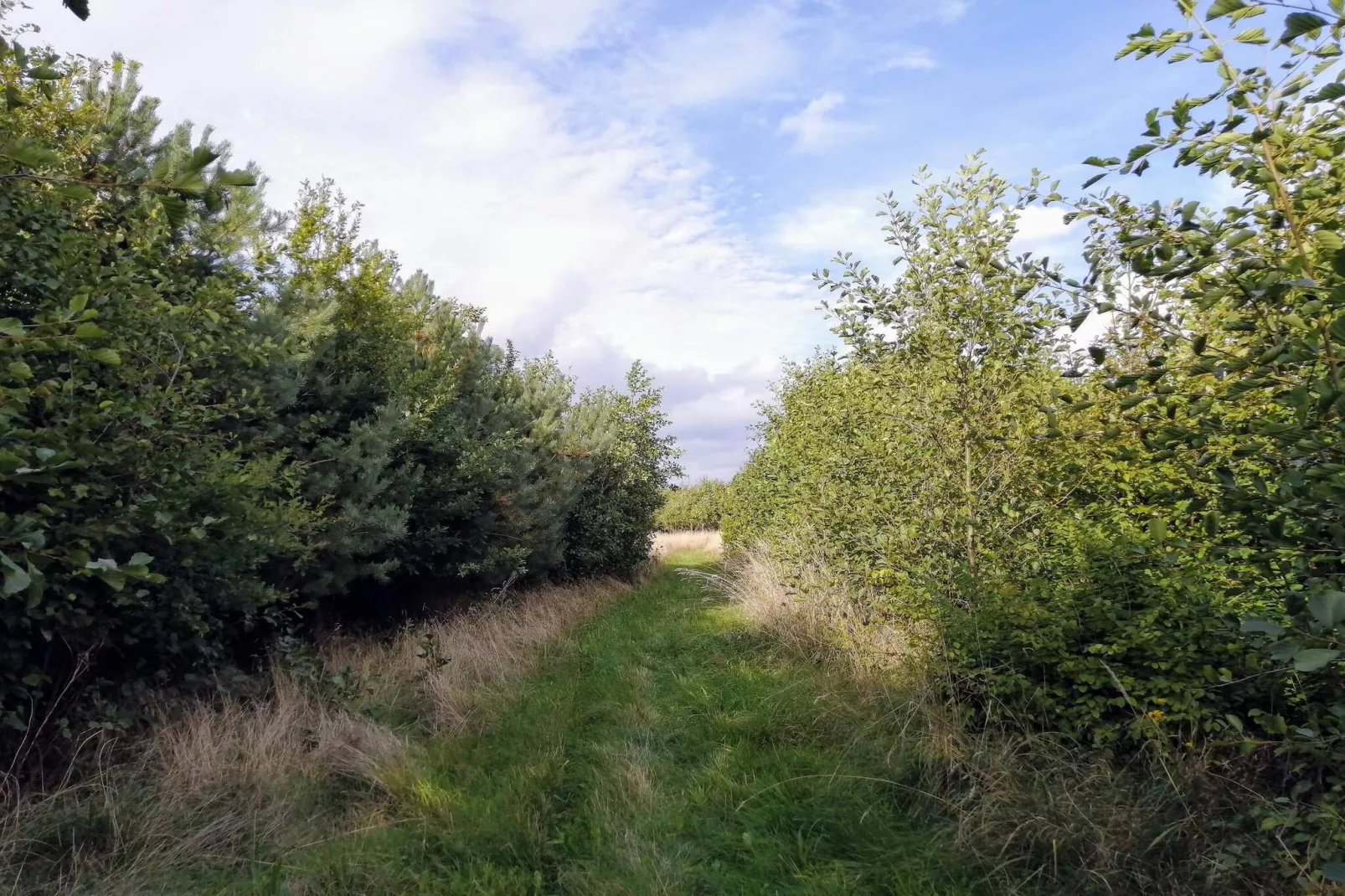 6 persoons vakantie huis in Stege-Niet-getagd