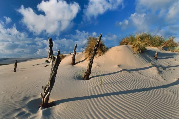 Dom wakacyjny Seahorse w Rowach-Gebieden zomer 20km