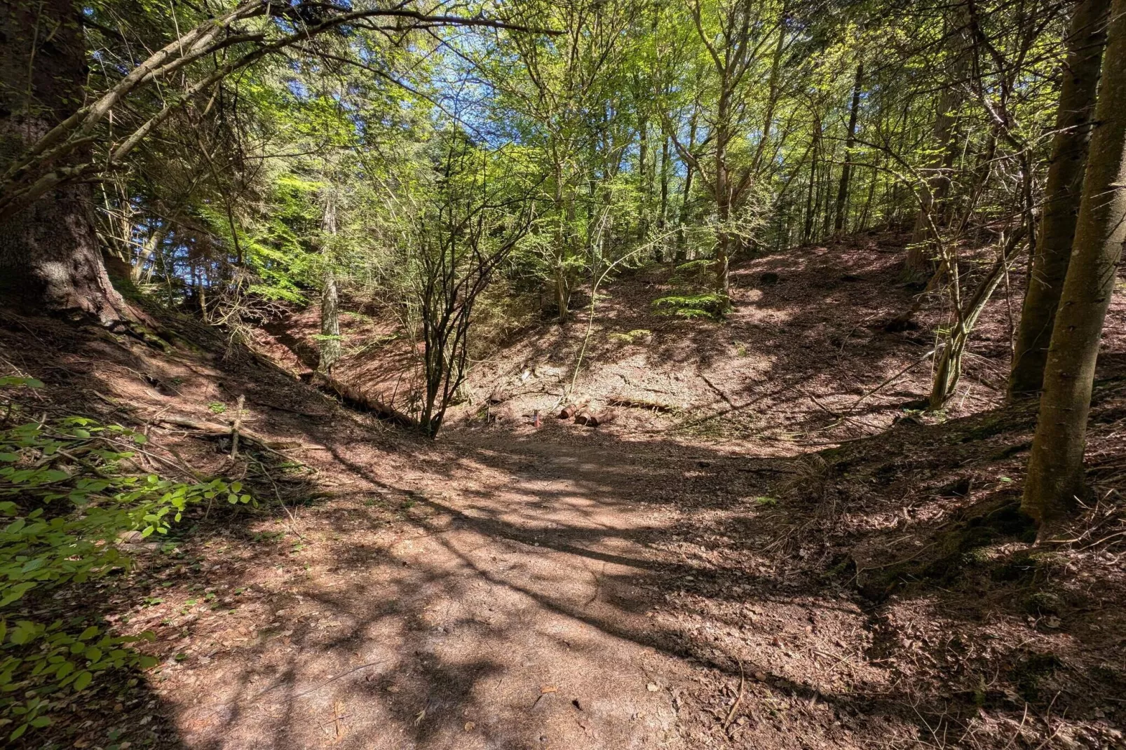 6 persoons vakantie huis in Glesborg-Niet-getagd