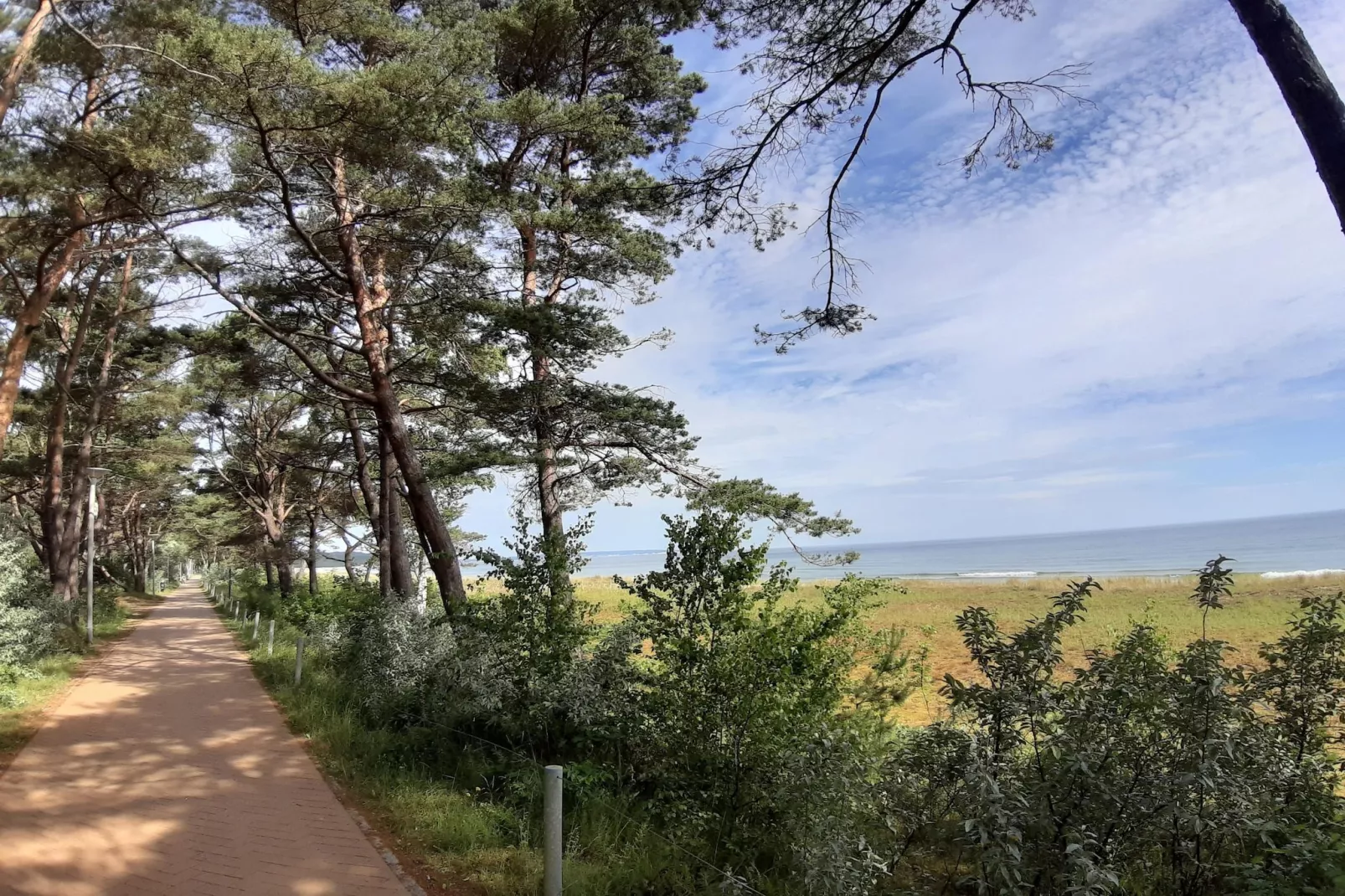 Seepark Sellin - 6 Personen-Gebieden zomer 5km