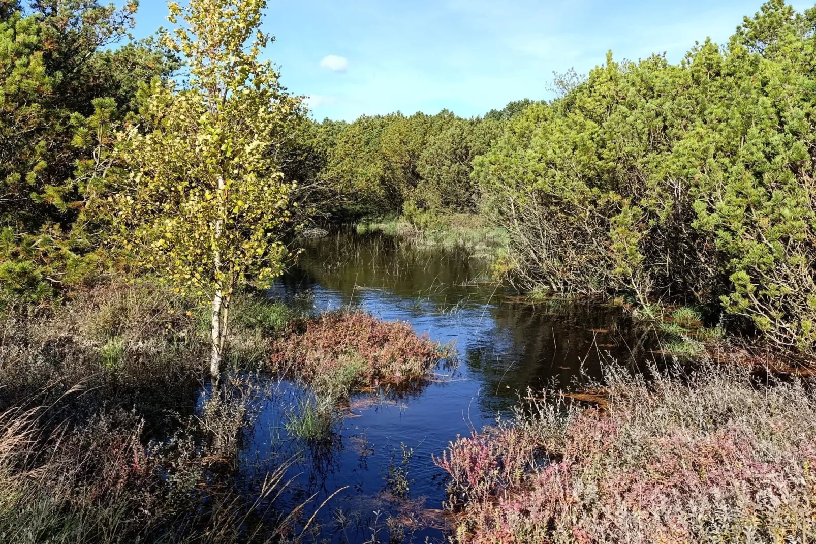 Luxe retraite met zwembad -- By Traum Ferienwohnungen-Buitenlucht