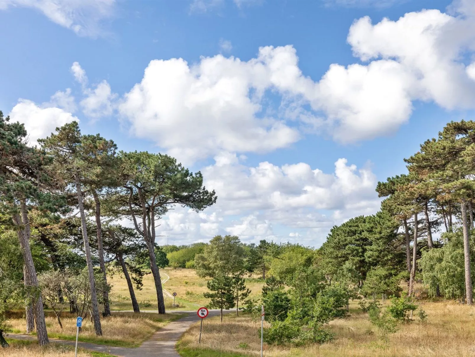 "Detlef" - 200m from the sea-Buiten