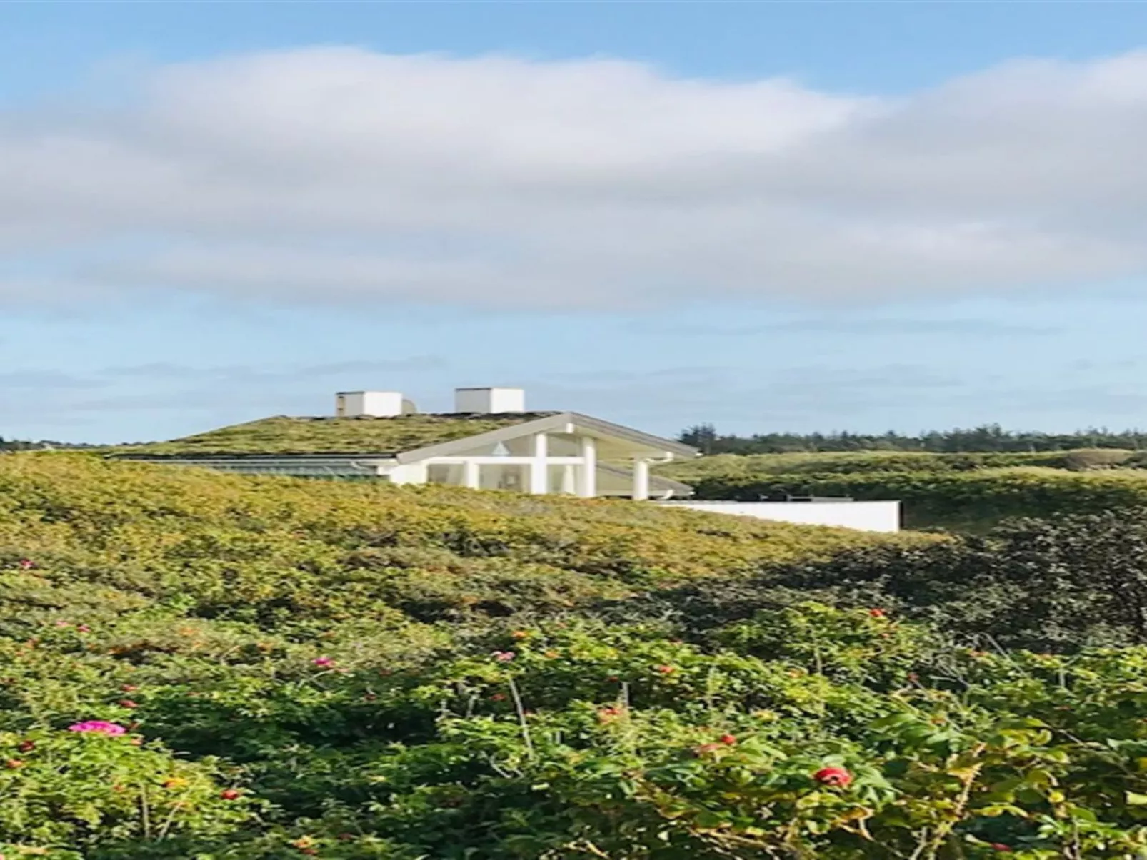 "Rutha" - 45m from the sea-Buiten