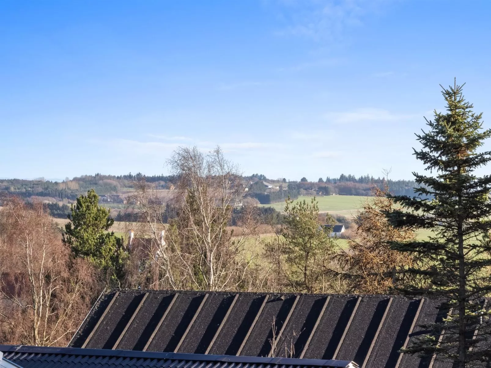 "Jaakob" - 4km from the sea-Buiten