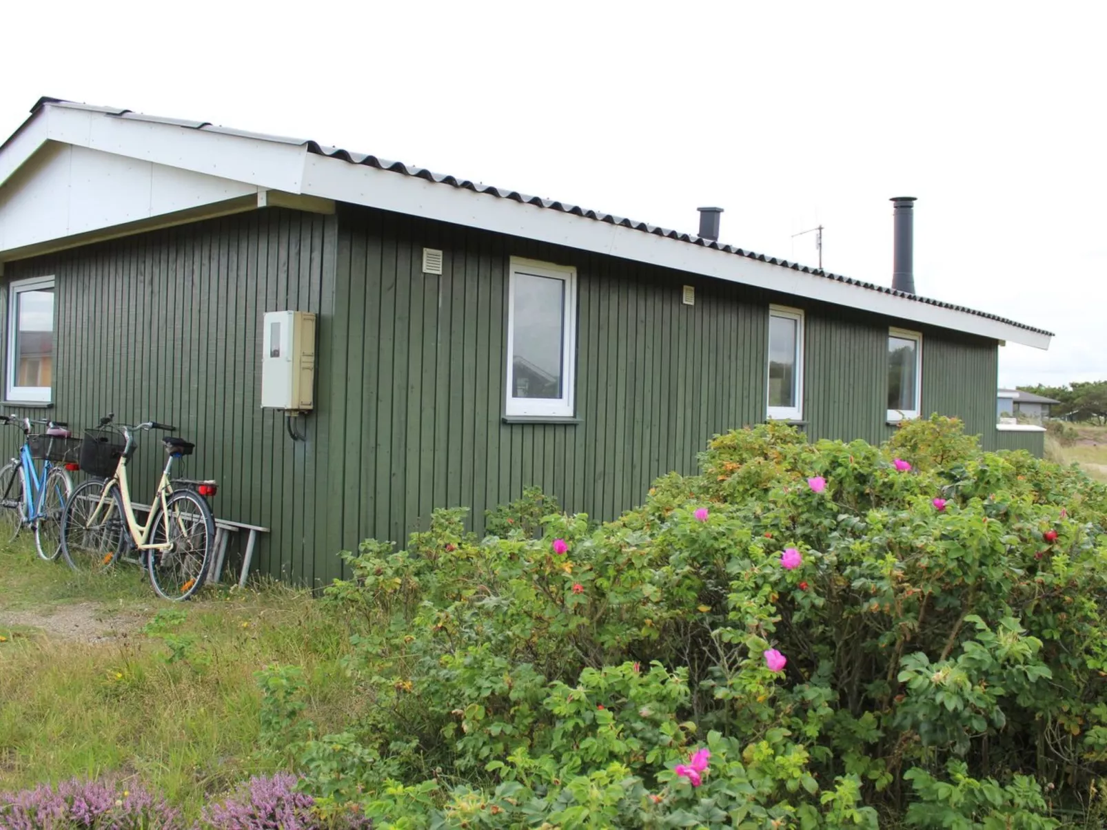 "Lambe" -  from the sea-Buiten