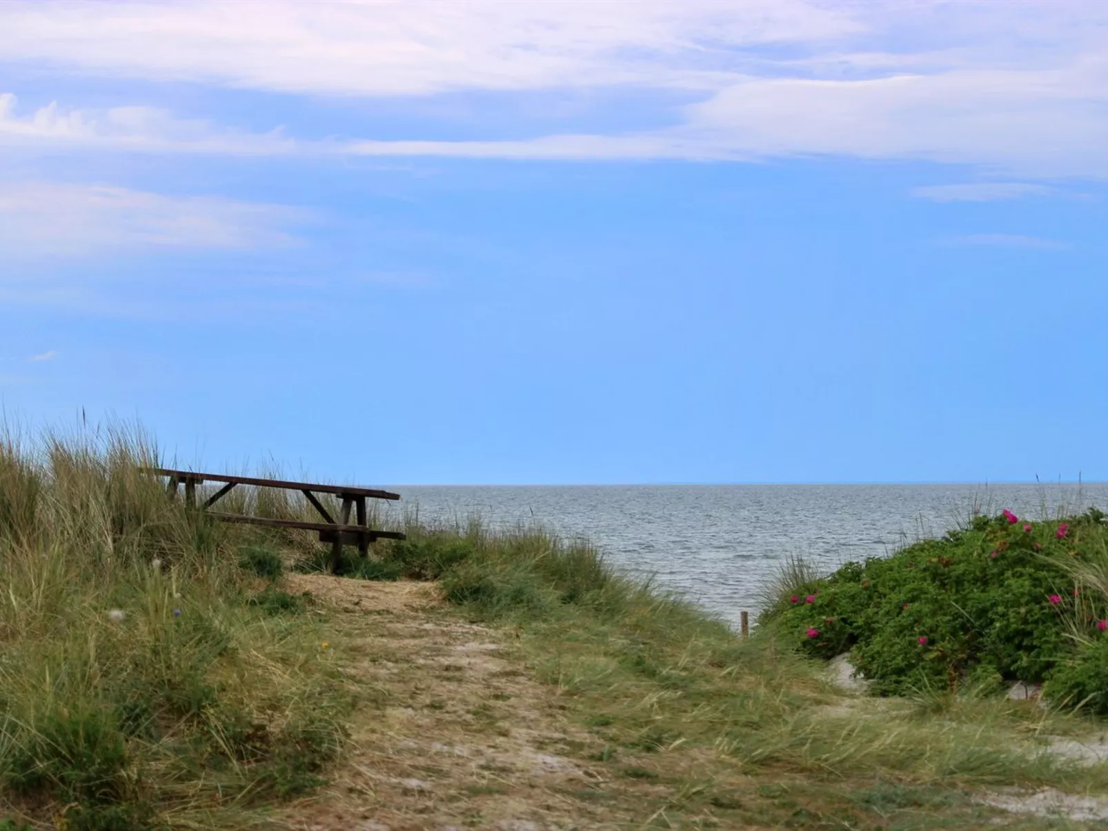 "Berndt" - 50m from the sea