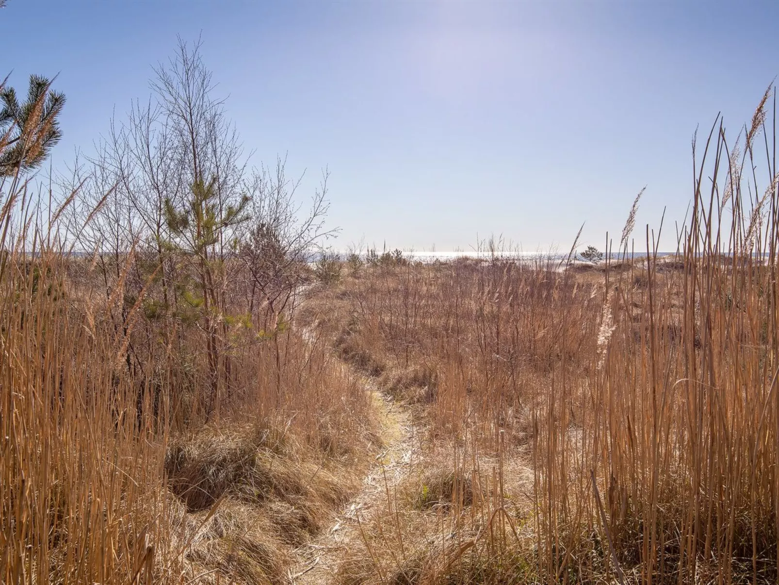 "Unto" - 25m from the sea-Buiten