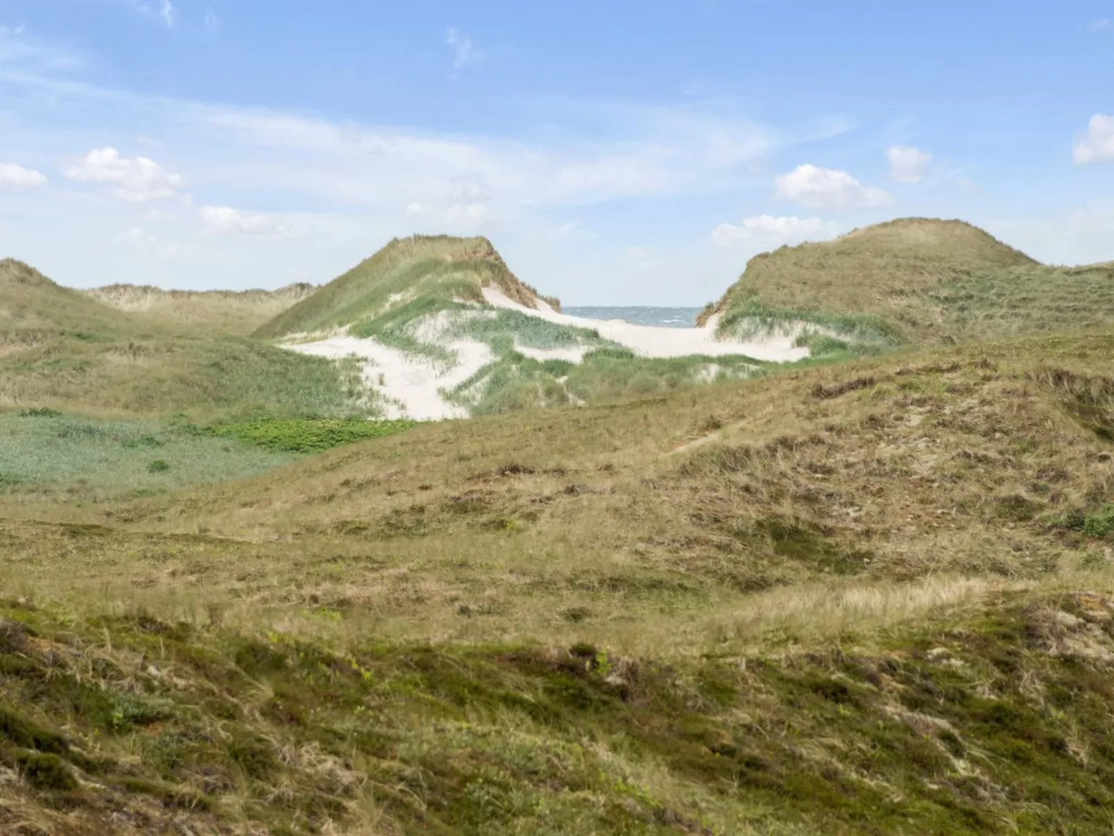 "Trugot" - 450m to the fjord-Buiten