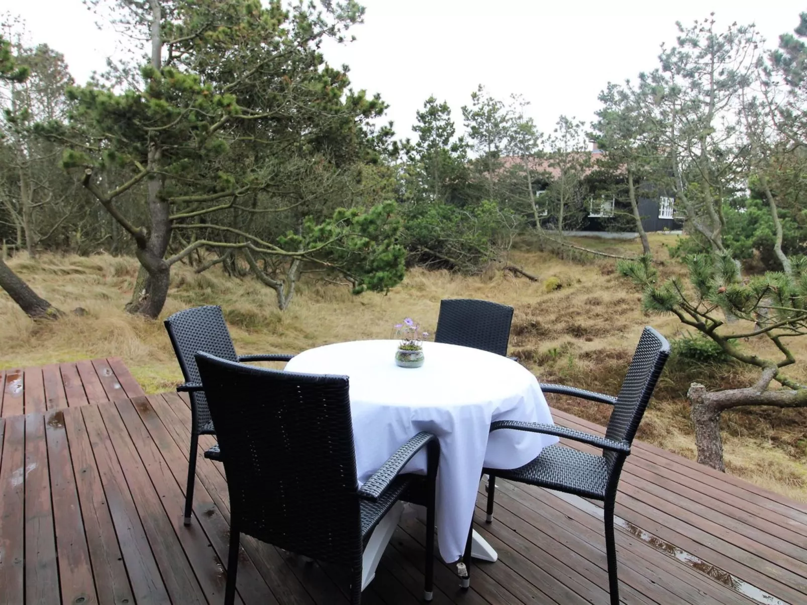 "Glady" - 500m from the sea-Buiten