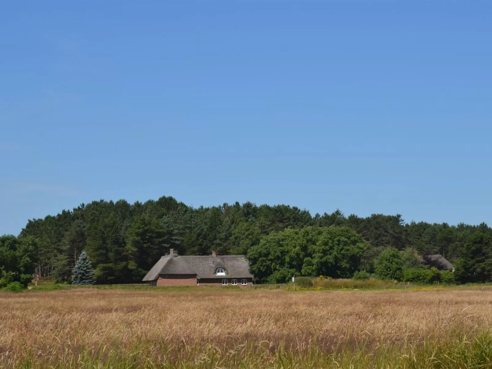 "Naili" - 3.1km from the sea-Binnen