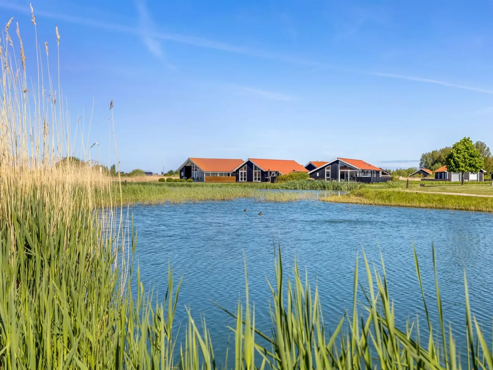 "Zişan" - 1.1km from the sea-Buiten