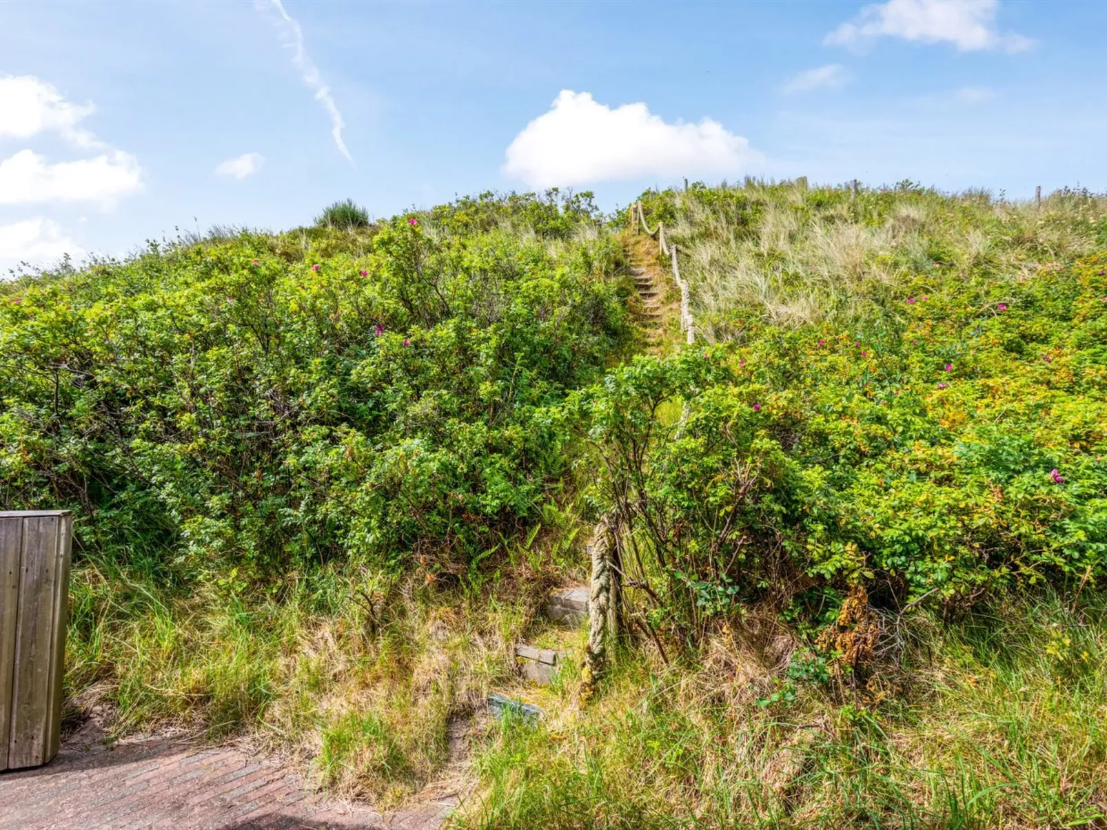 "Pia" - 400m from the sea-Buiten