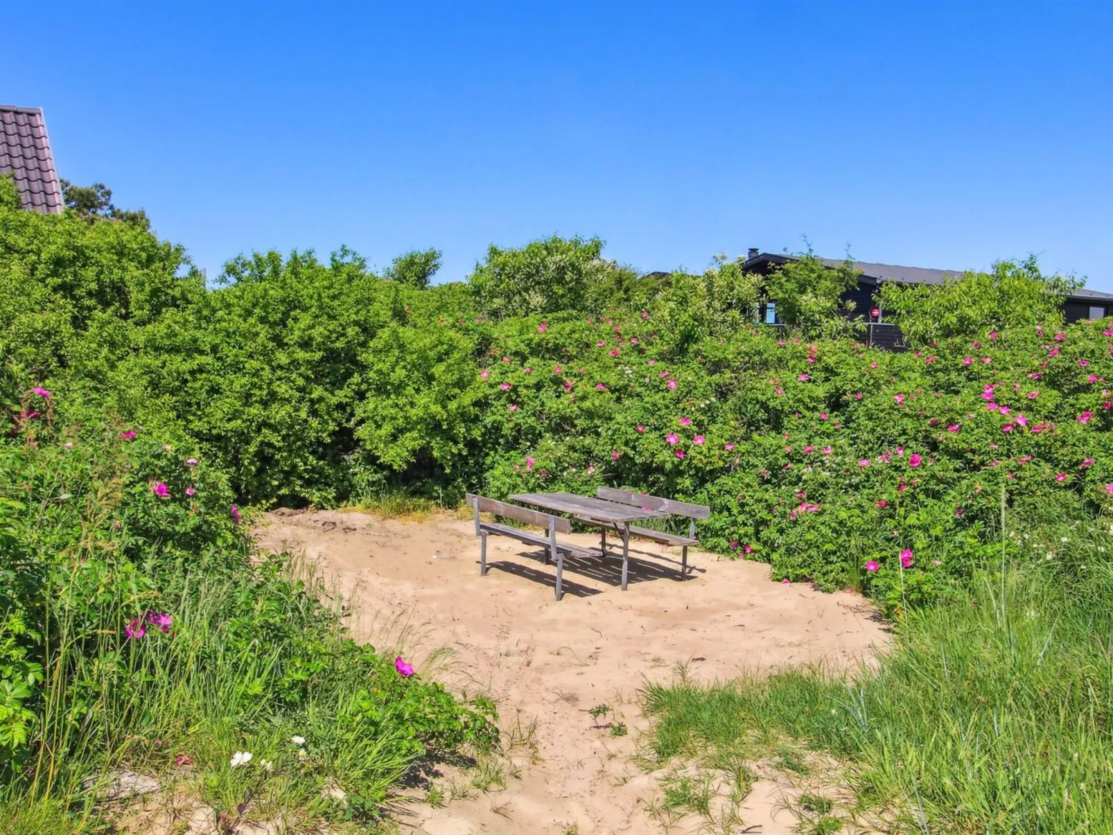 "Kalf" - 400m from the sea-Buiten