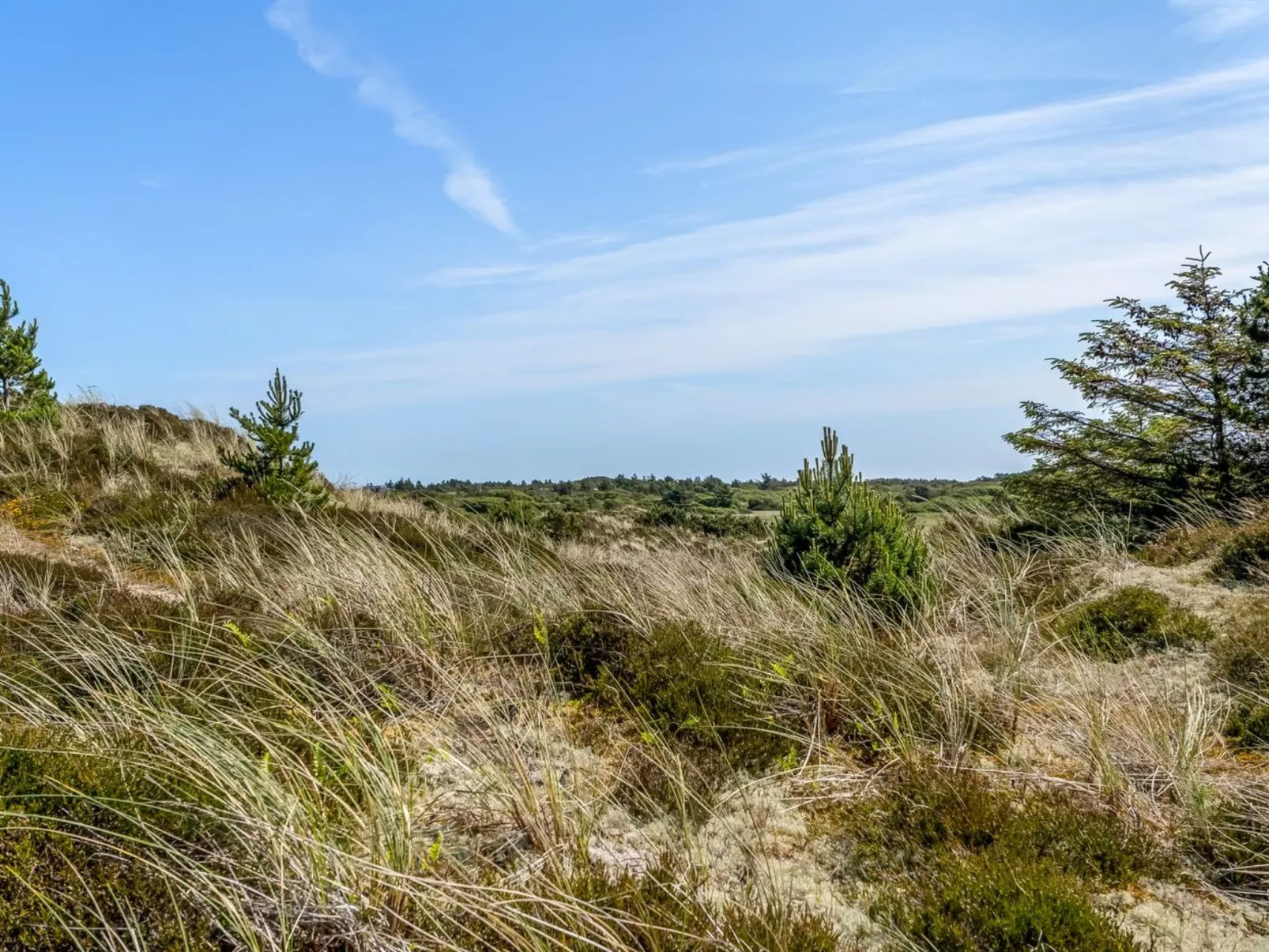 "Thorkil" - 800m from the sea-Buiten