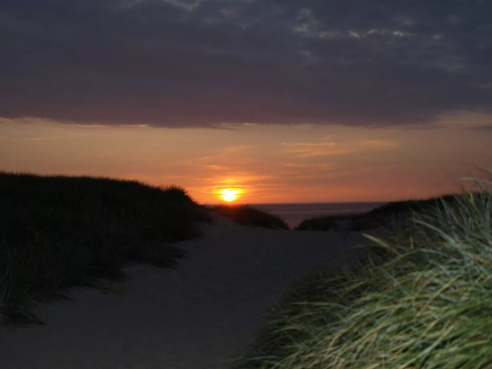 "Heming" - 100m from the sea-Buiten