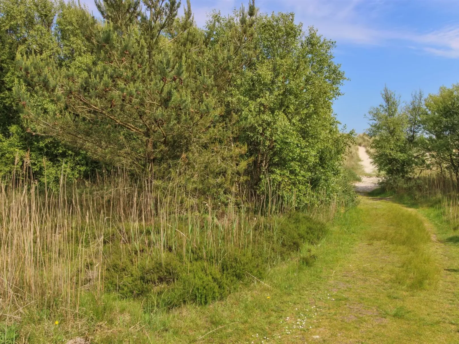 "Ingalise" - 500m from the sea-Buiten