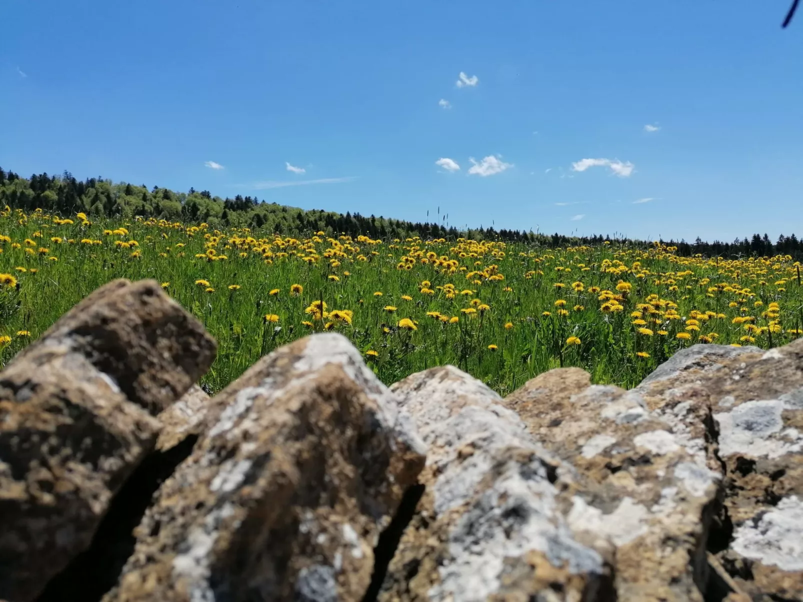 Maison de vacances - LM-Buiten