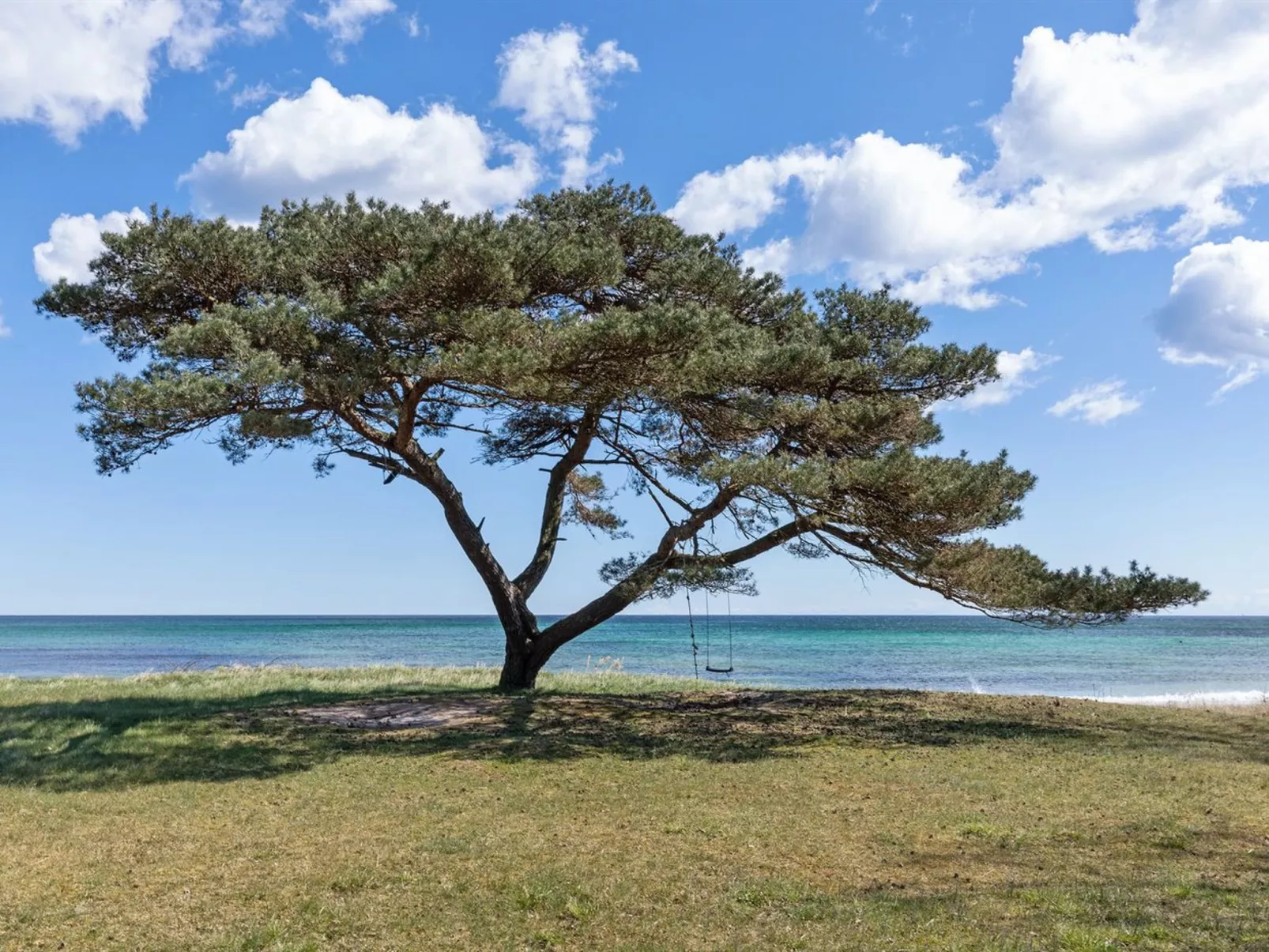 "Botolphus" - 20m from the sea-Buiten