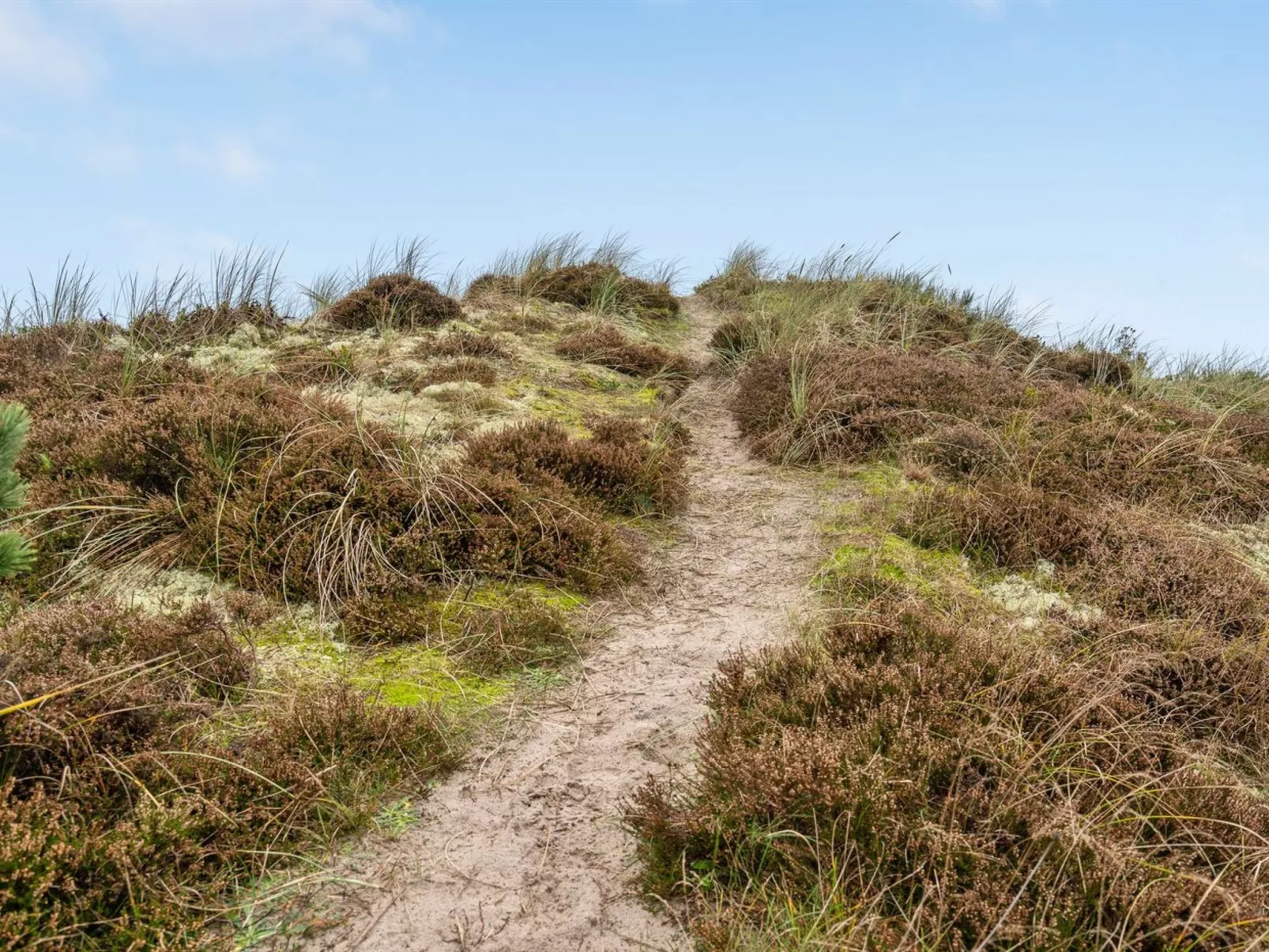 "Tino" - 900m from the sea-Buiten