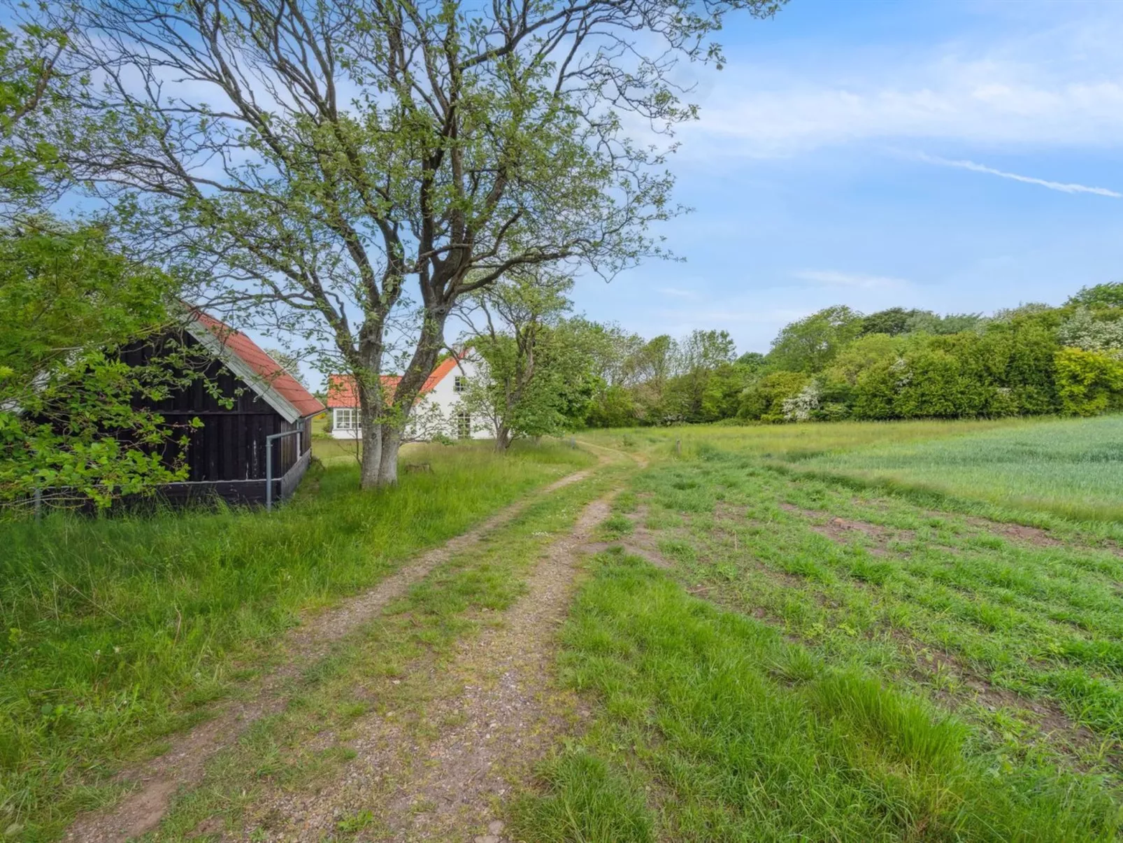 "Althea" - 750m to the fjord-Buiten