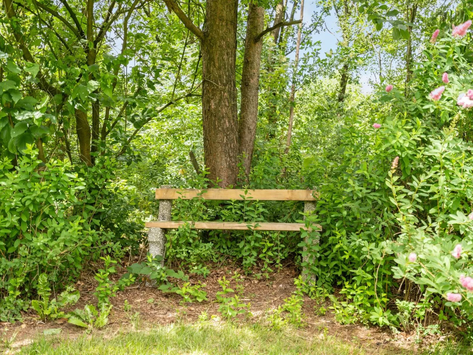 "Massie" - 30km from the sea-Buiten