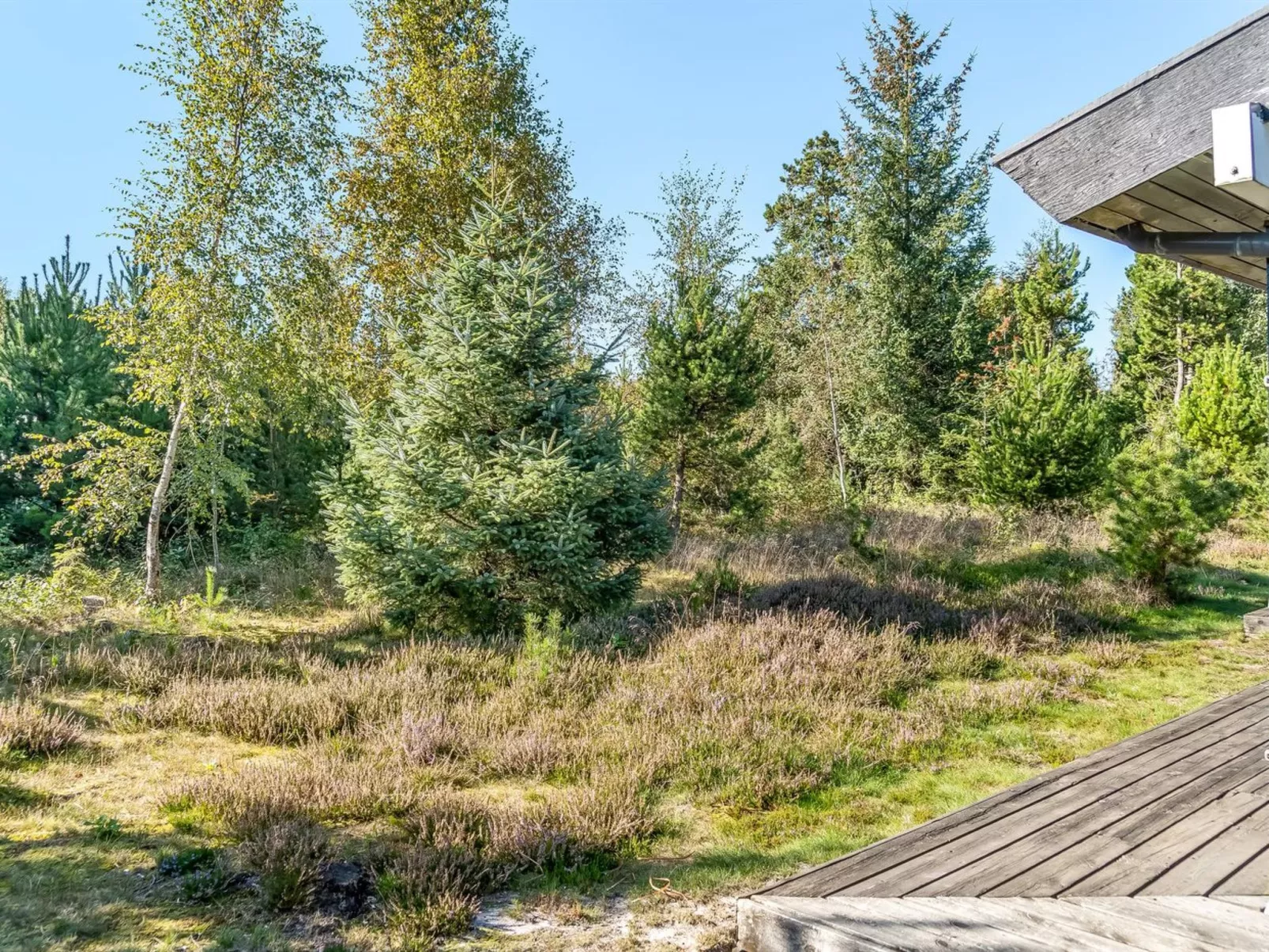 "Thomine" - 200m from the sea-Buiten