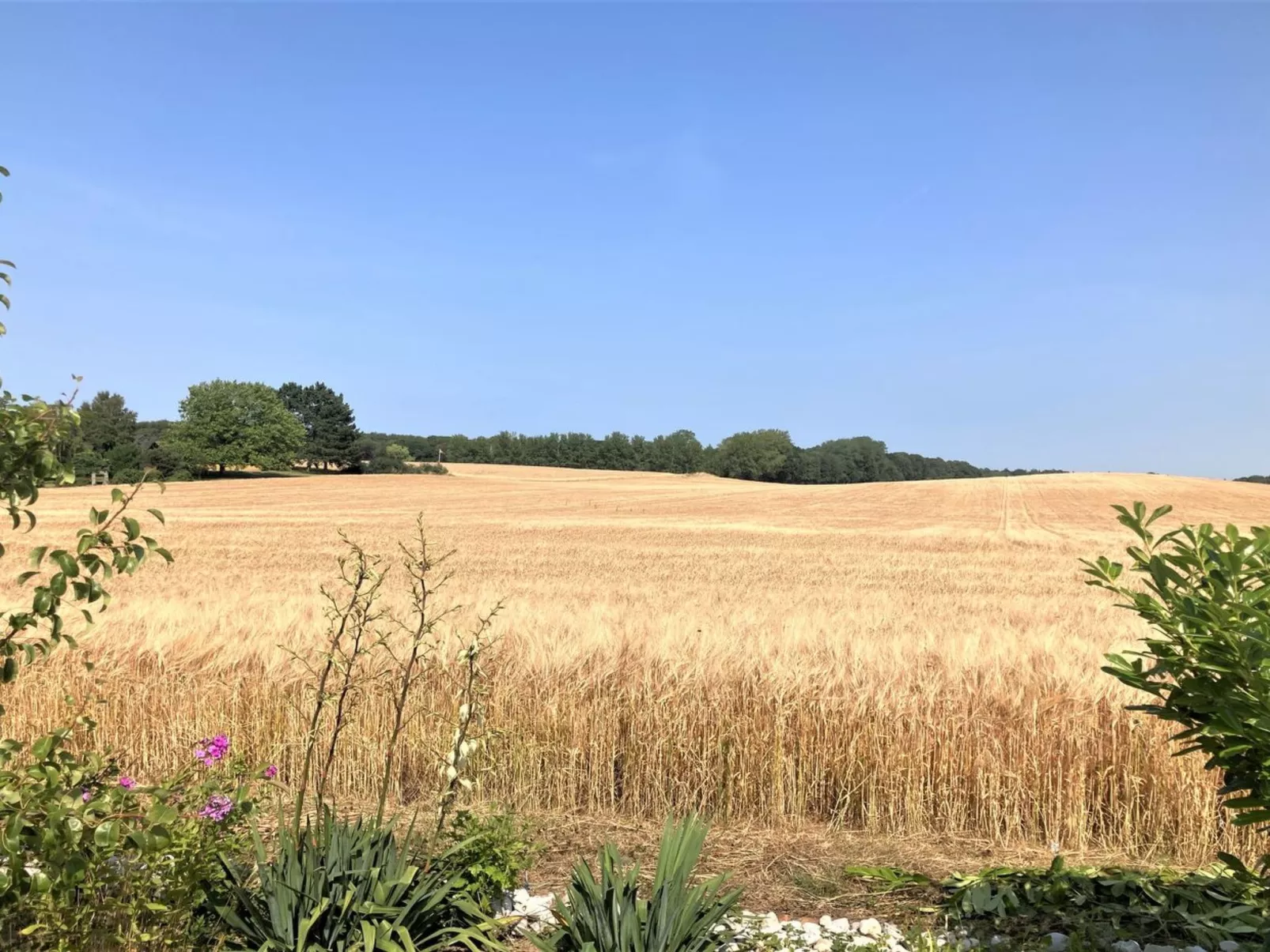 "Asya" - 600m from the sea-Buiten