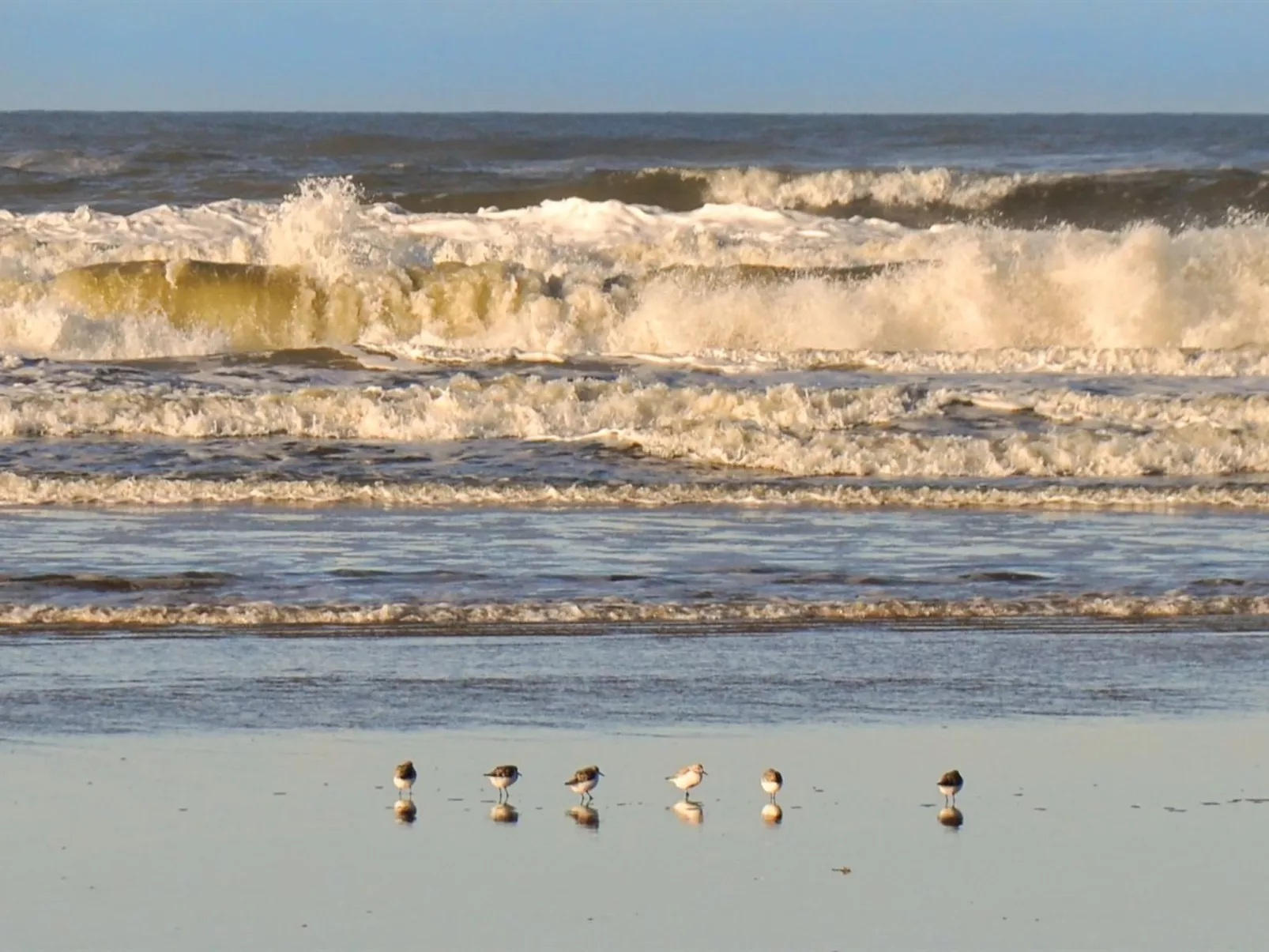 "Elsa" - 700m from the sea-Buiten