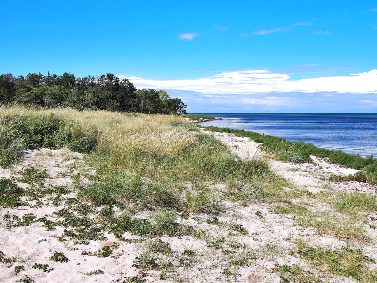 "Liselotte" - 275m from the sea-Buiten