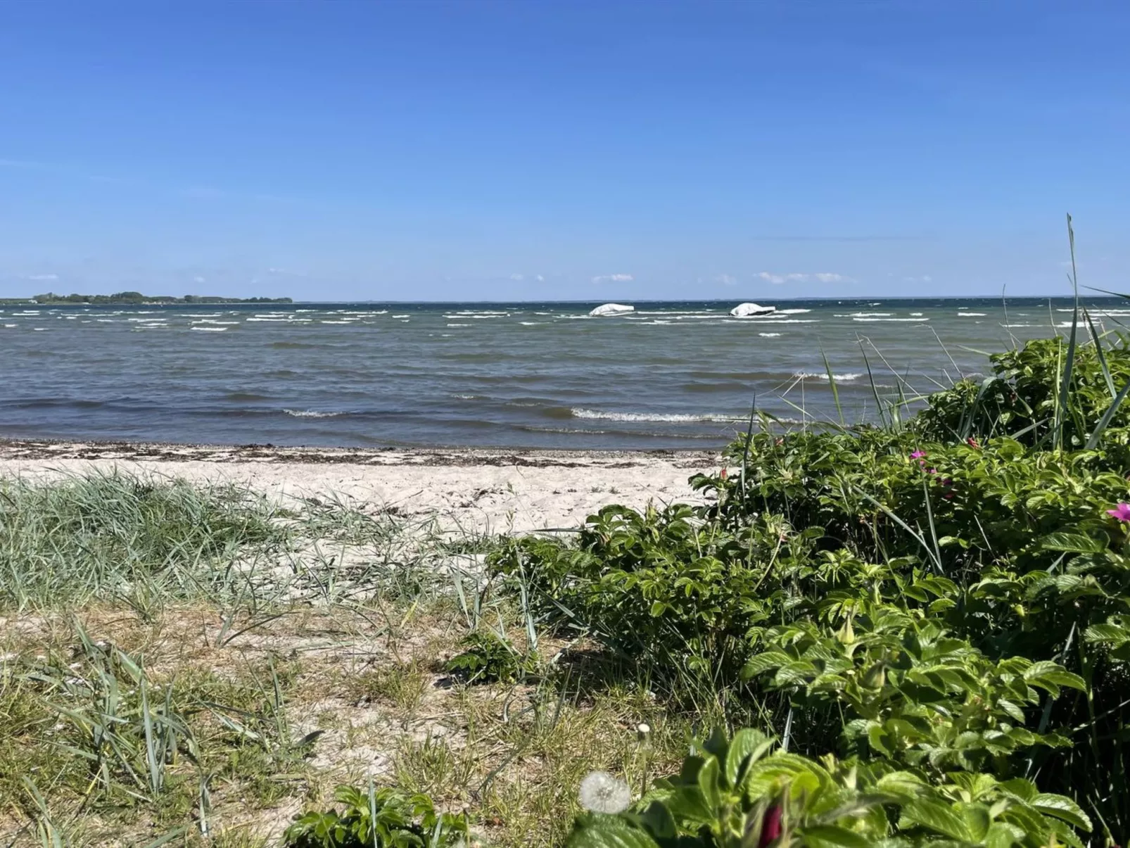 "Ely" - 300m from the sea-Buiten