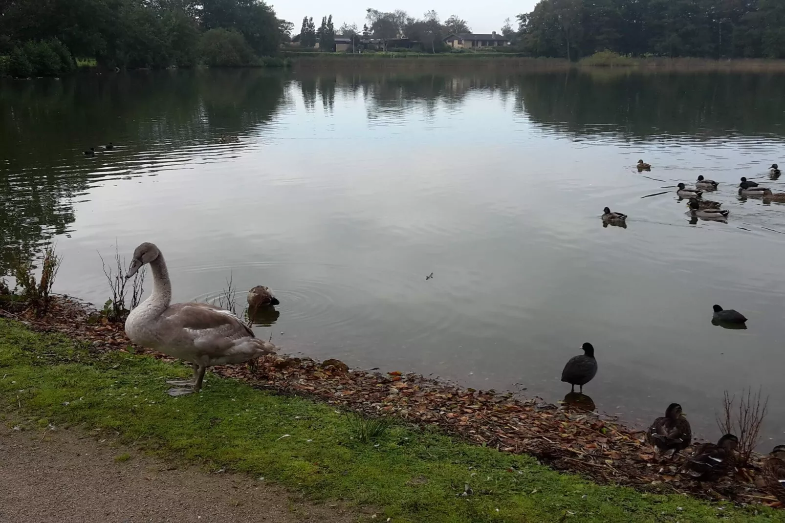 7 persoons vakantie huis in Løgstør-By Traum-Waterzicht