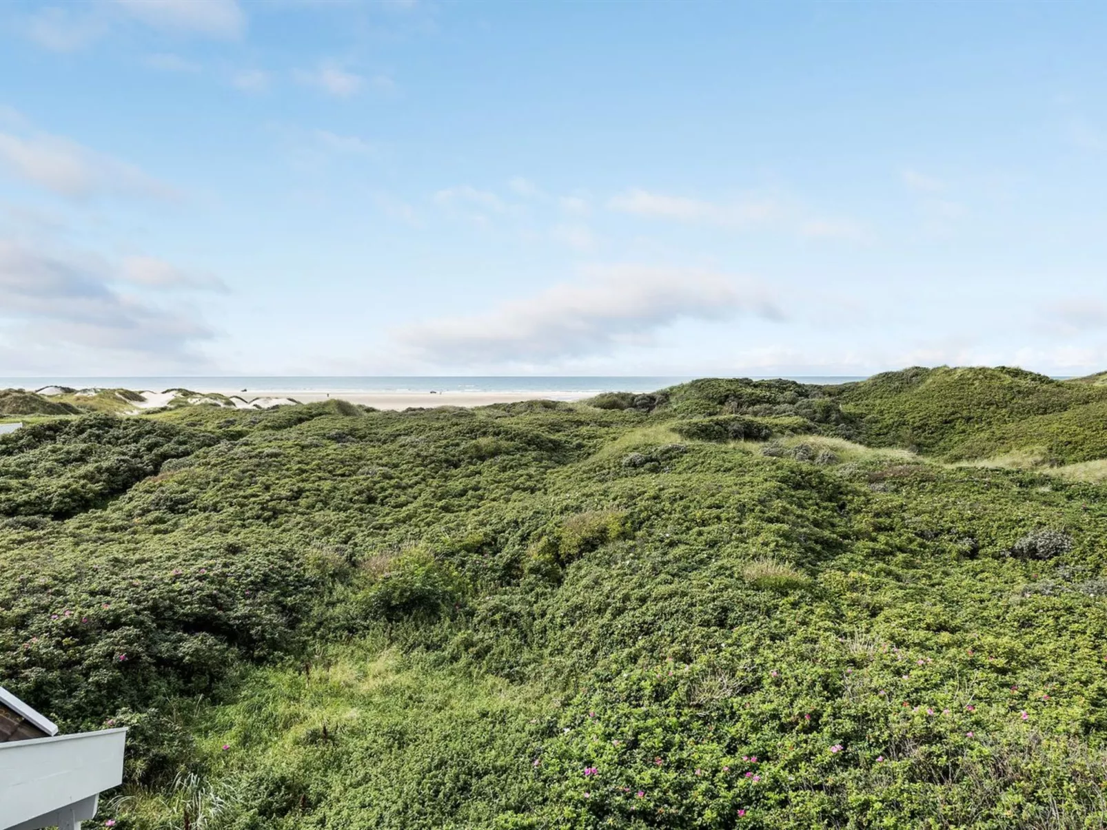 "Rauli" - 50m from the sea-Buiten