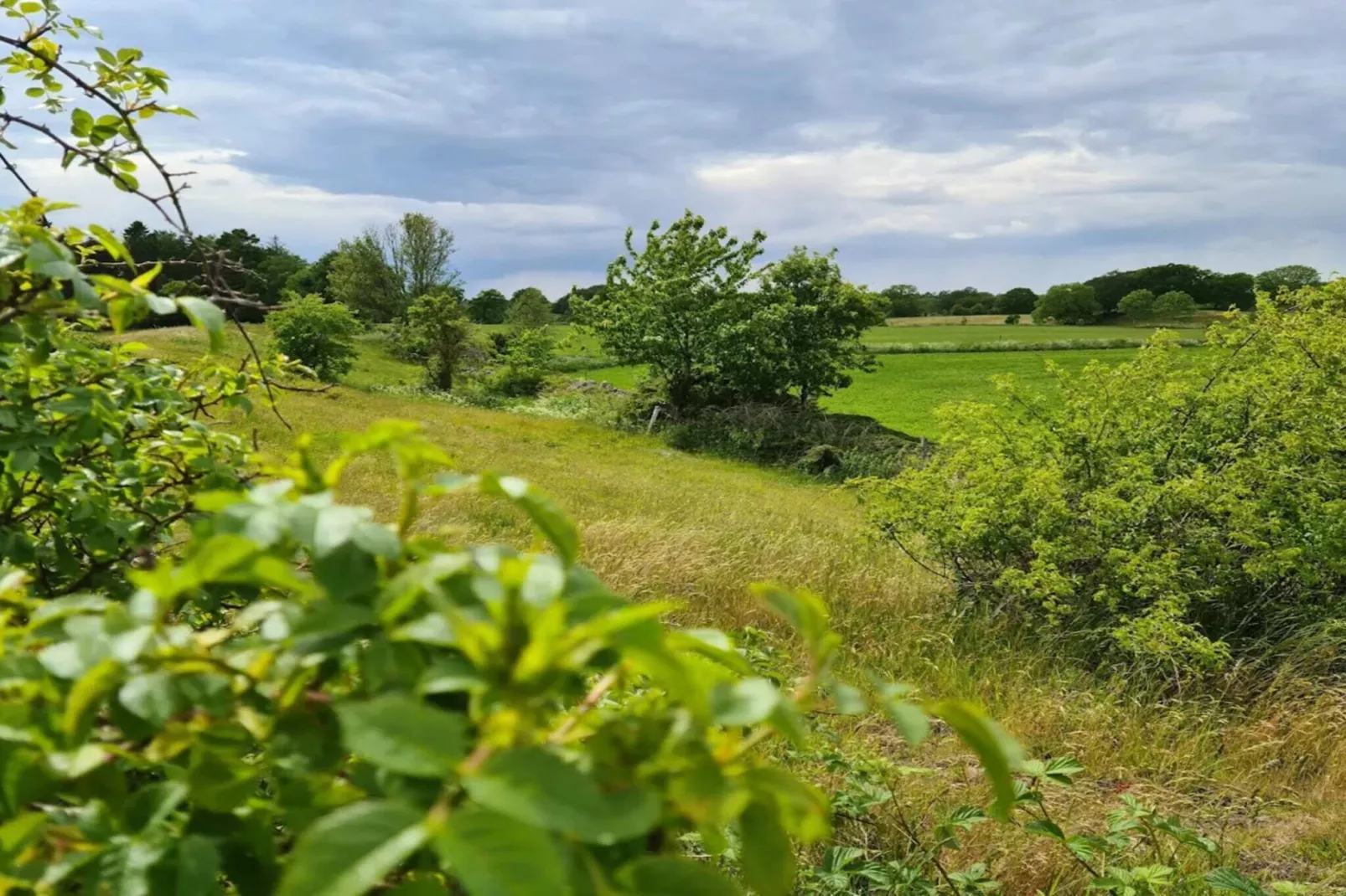 6 persoons vakantie huis in BÅSTAD-By Traum-Niet-getagd