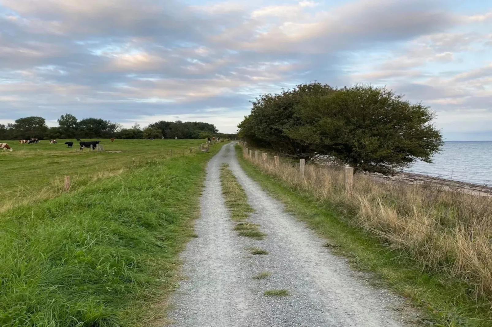 6 persoons vakantie huis in Bjert-By Traum-Niet-getagd