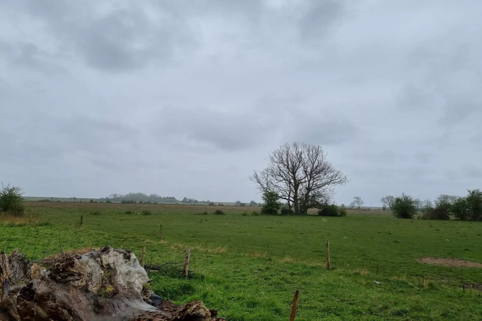 4 persoons vakantie huis in Rødby-By Traum-Niet-getagd