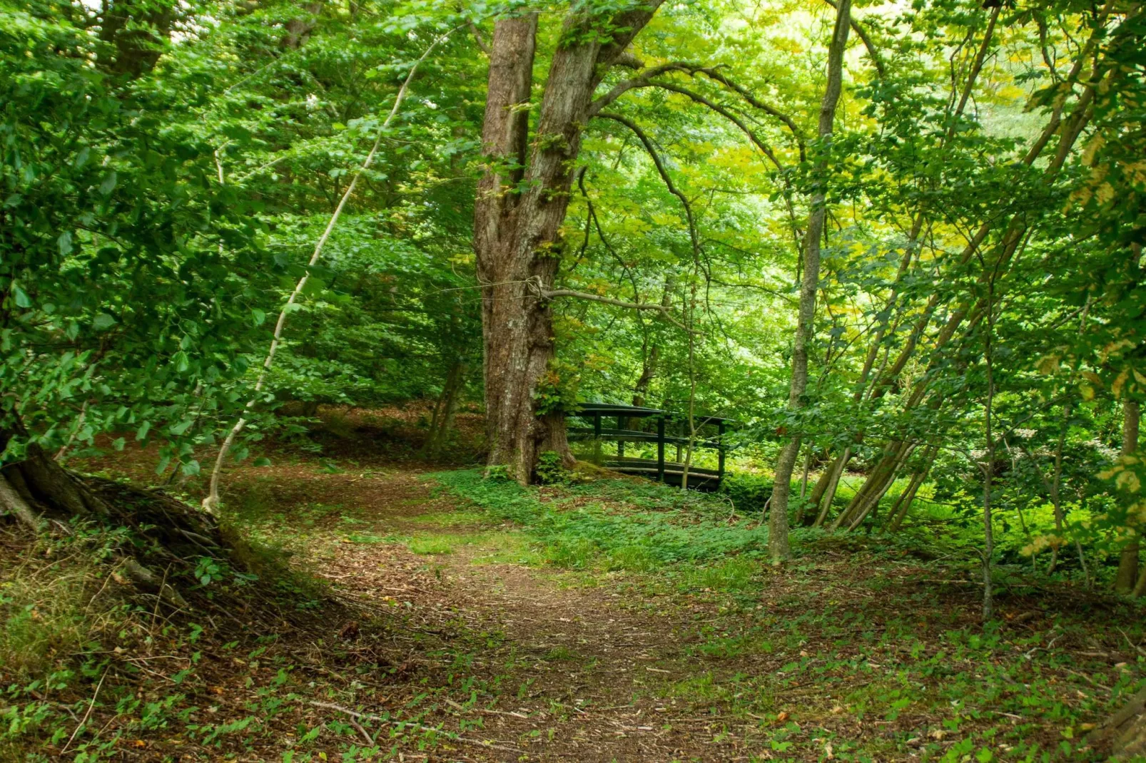 8 persoons vakantie huis in Øster Assels-By Traum-Niet-getagd