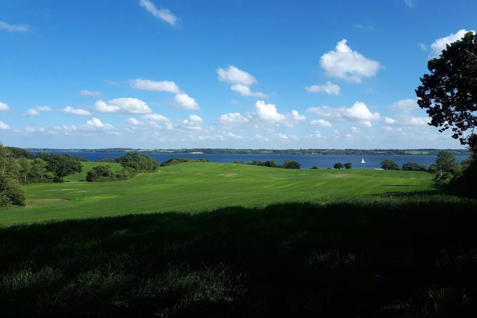 8 persoons vakantie huis in Aabenraa-By Traum