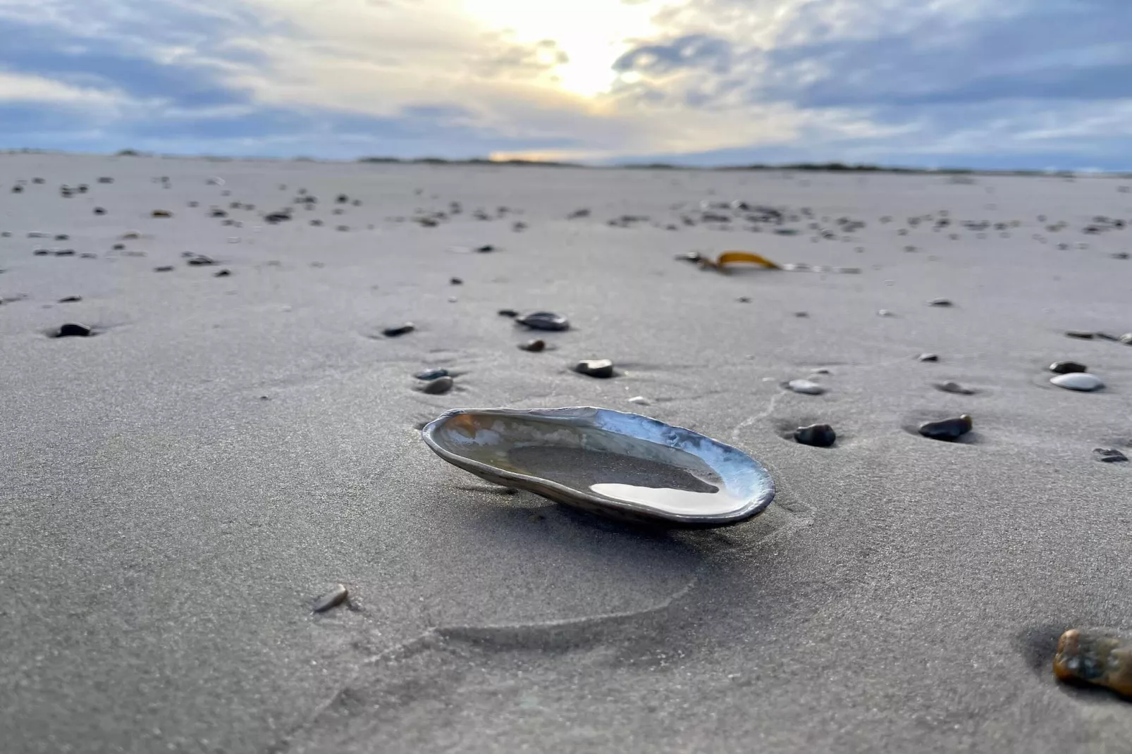 4 sterren vakantie huis in Blokhus-By Traum-Niet-getagd