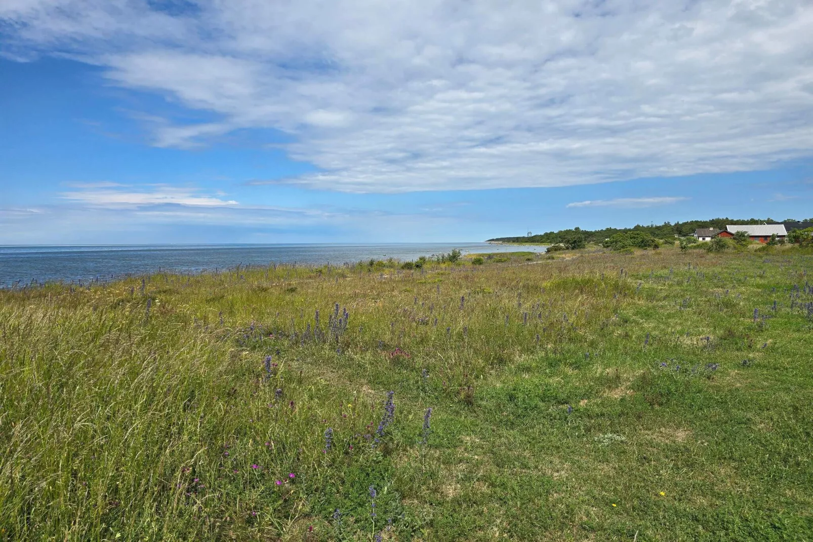 4 sterren vakantie huis in GOTLANDS TOFTA-By Traum-Waterzicht