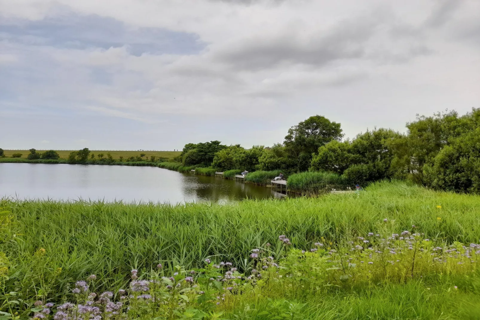 SeeZeichen auf Nordstrand - 4 Personen-Gebieden zomer 1km