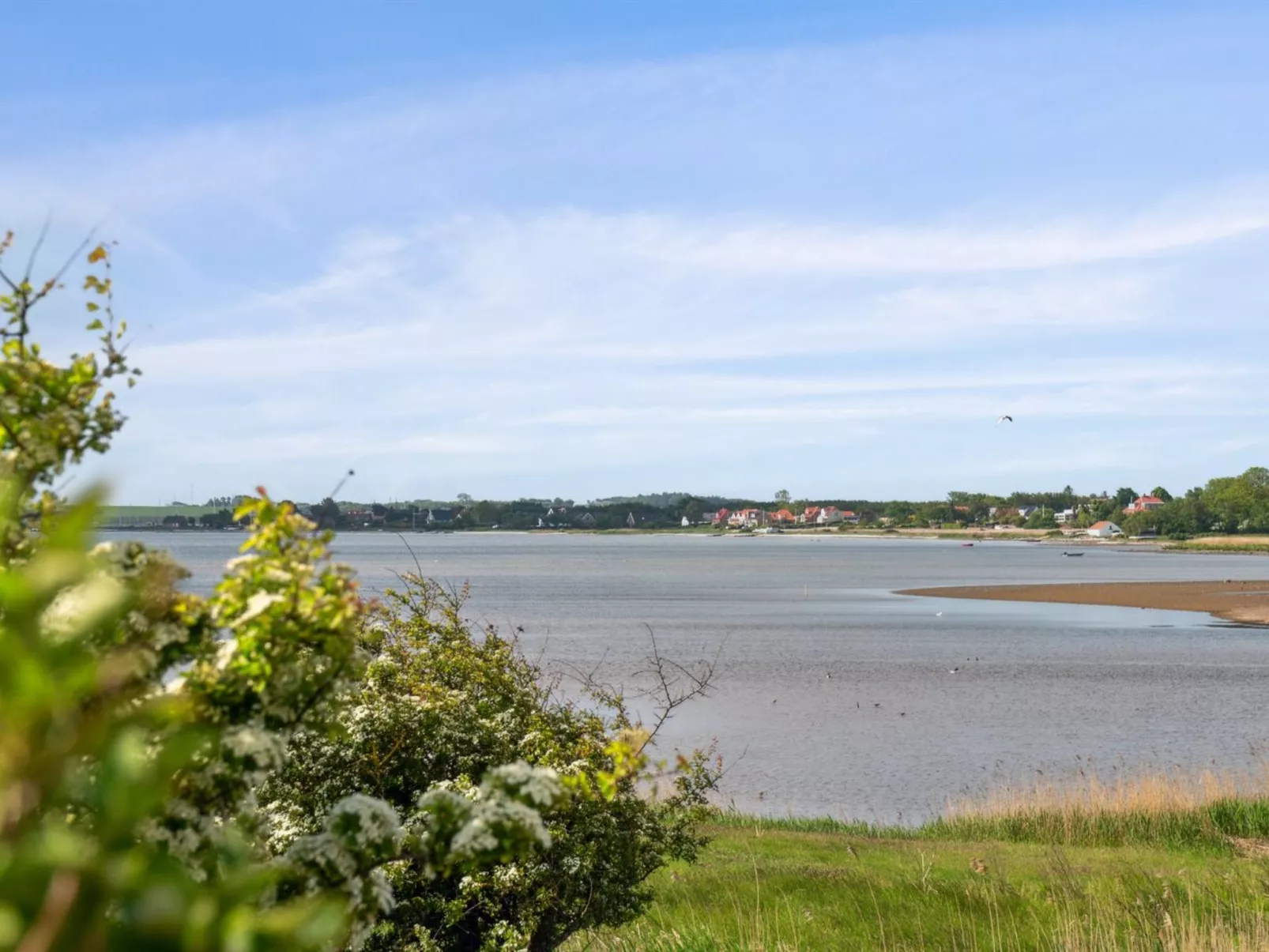 "Swaantje" - 150m to the fjord-Buiten