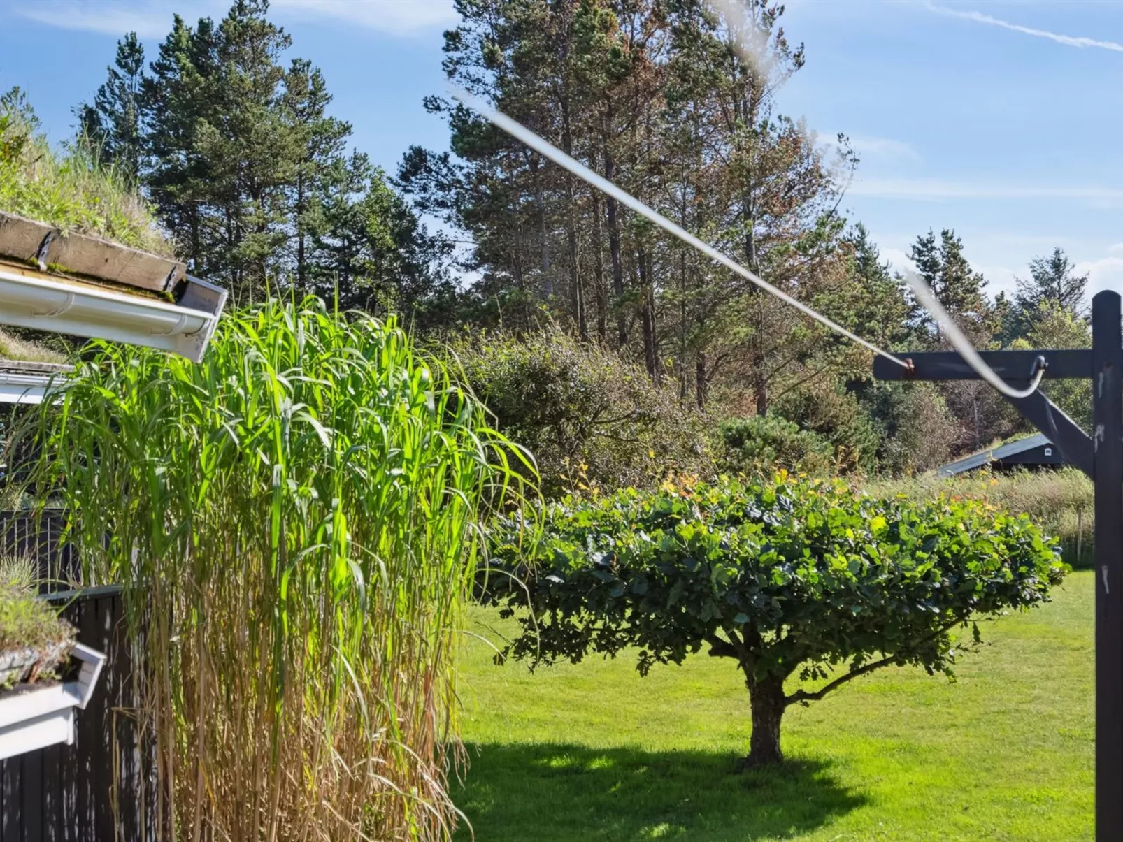 "Ofelia" - 2.5km from the sea-Buiten