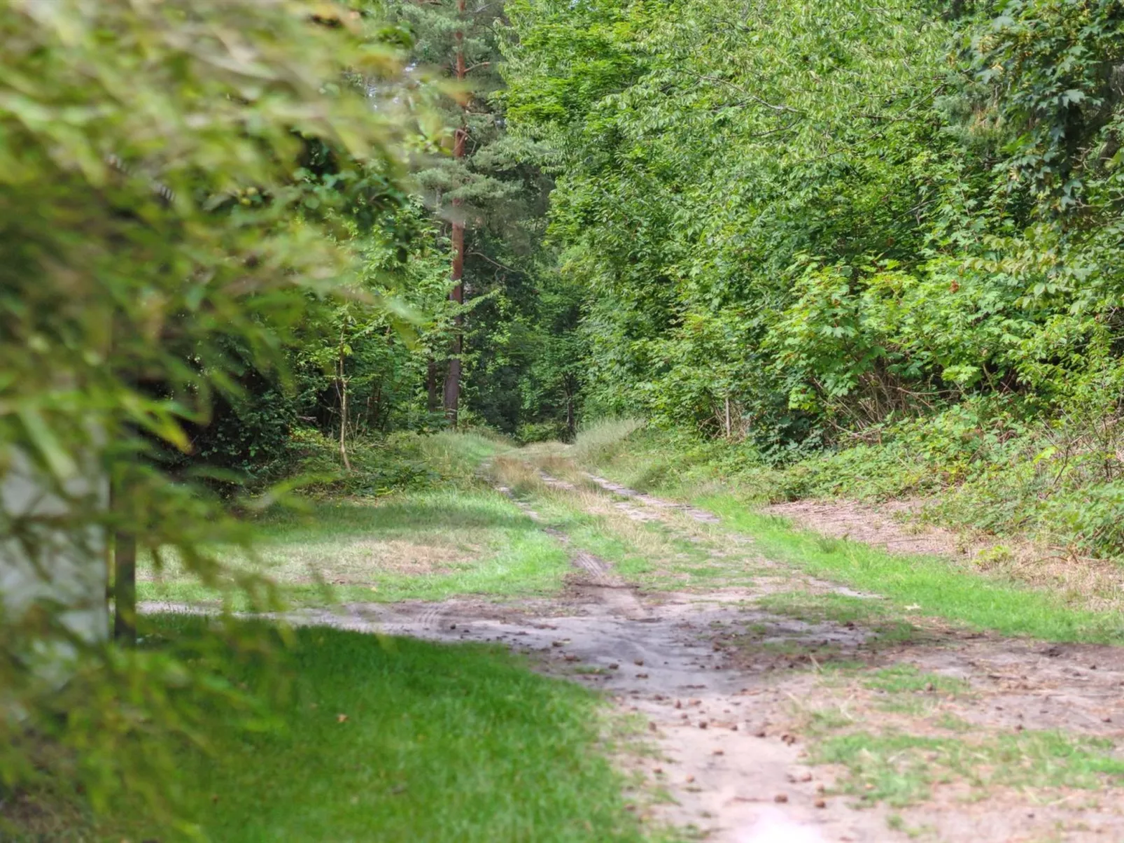 "Rina" - 250m from the sea-Buiten