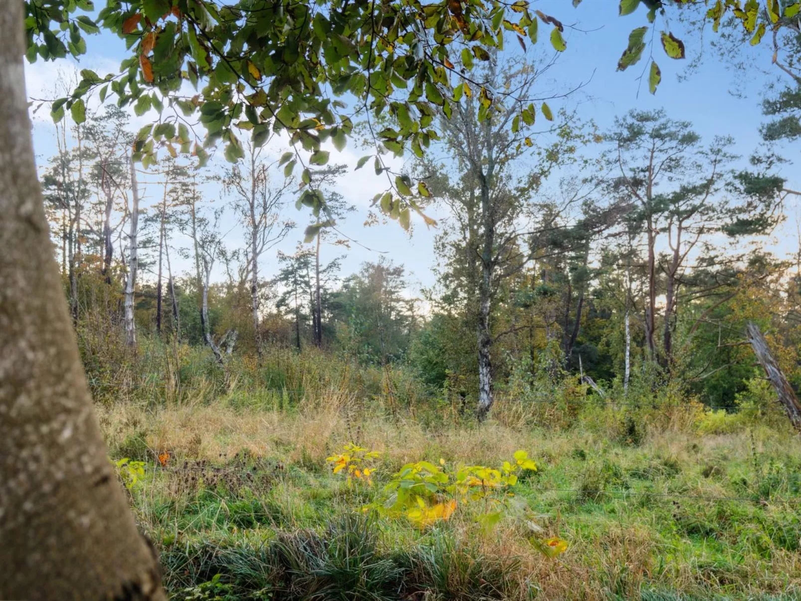 "Rami" - 2km from the sea-Buiten